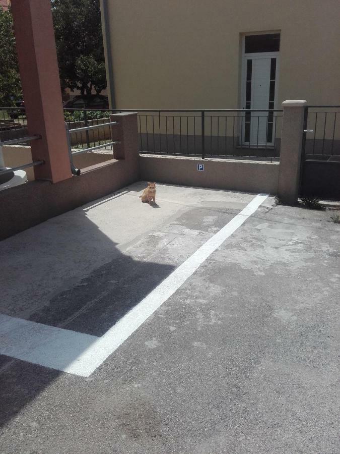 Maremy Διαμέρισμα Ζαντάρ Εξωτερικό φωτογραφία